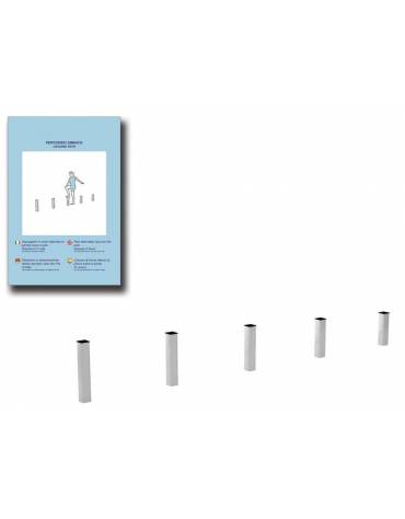 Paletti verticali per esercizi ginnici con pali in legno lamellare e calotta in plastica - cm 409x9x60h