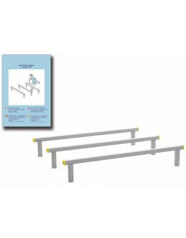 Ostacoli per esercizi  ginnici con pali in legno bilamellare e calotta in plastica - cm 305x230x49h