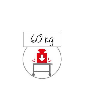 Carrello inox AISI 304 con 2 piani asportabili a vasca da cm 87x44 - Portata totale Kg 60 - cm 98x51x91h