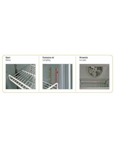 Vetrina verticale refrigerata no frost a 2  porte battenti - capacità 1240 Lt - temperatura -22°C/-25°C - mm 1220x700x1980h
