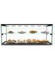 Vetrina neutra vetri dritti da banco a 2 piani con illuminazione a led cm. 92x39x37,5h