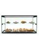Vetrina neutra da banco per colazione ad 1 fronte con vetri dritti cm. 92x39x37,5h - 2 piani espositivi - Illuminazione a Led