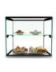 Vetrina neutra da banco per colazione ad 1 fronte con vetri dritti cm. 55x39x37,5h - 2 piani espositivi - Illuminazione a Led