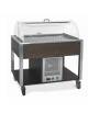 Carrello refrigerante con cupola e griglie asolate - colore Nero - 4 x GN 1/1 - cm 161x68x120h