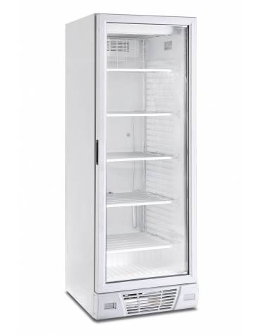 Vetrina verticale refrigerata statica ad 1 porta battente - capacità 382 Lt - temperatura -18°C/-24°C - mm 640x674x2056h