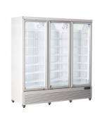 Armadio congelatore con tripla porta a vetro - capacità Lt 1450 - refrigerazione ventilata -18°/-22°C  - cm 188x76x204h