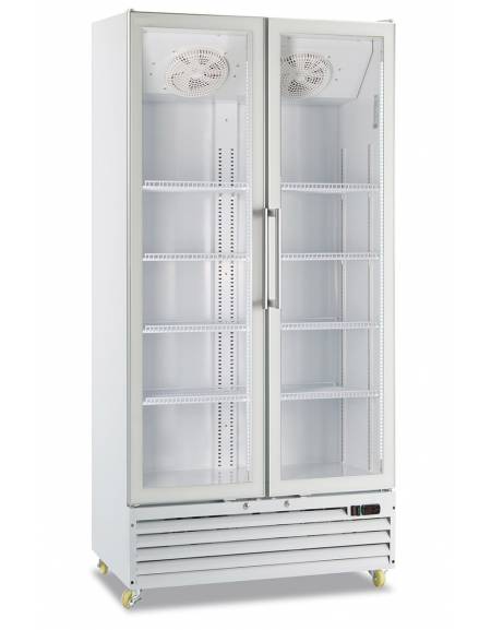 Vetrina frigorifera per bevande doppia cm. 100x70x202h