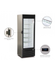 Vetrina gelateria verticale statica - capacità 323 litri - temp. -18°-23°C - mm 610 x 639 x 1844h