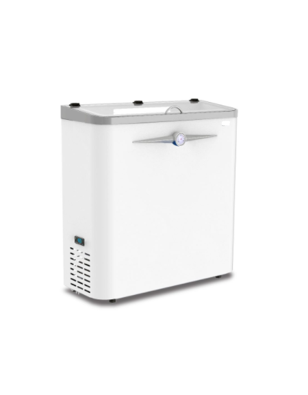 Espositore a pozzetto ad impulso - colore bianco - 61 Lt. - temp. -18°-23°C - mm 866 x 360 x 904h
