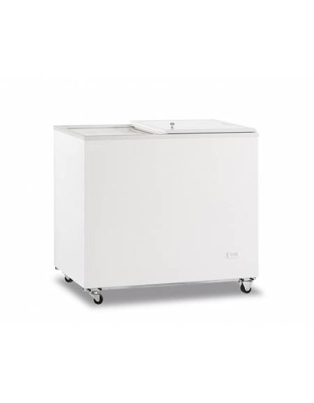 Congelatore a pozzo Lt. 197
