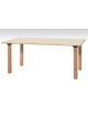 TAVOLINO RETTANGOLARE PER NIDO - PIANO IN BETULLA - CM 130X65X46H