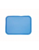 VASSOIO IN POLIPROPILENE GASTRONORM FAST FOOD GN 1/1 - MM 530X325