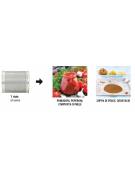 PASSAVERDURE DENOCCIOLATOREPER FRUTTA MATURA - ESTRATTORE PER MARMELLATE E COMPOSTE DI FRUTTA E VERDURE