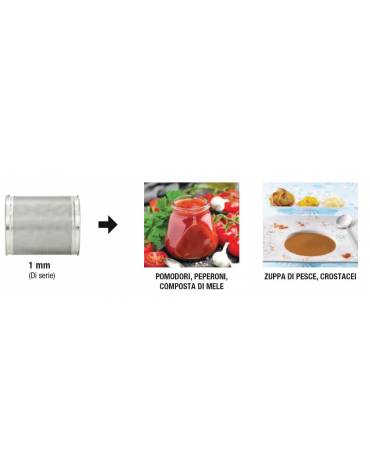 PASSAVERDURE DENOCCIOLATOREPER FRUTTA MATURA - ESTRATTORE PER MARMELLATE E COMPOSTE DI FRUTTA E VERDURE