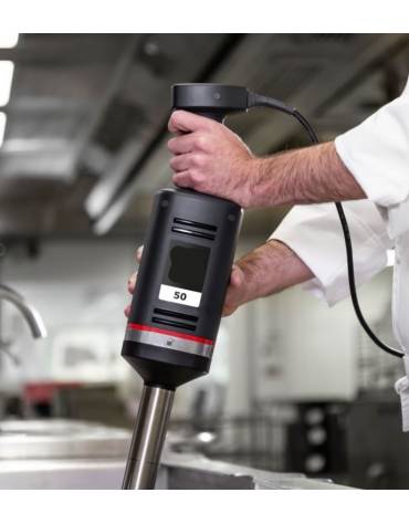 Mixer ad immersione professionale con mescolatore da cm 52,5 - Potenza 570 watt - Velocità variabile