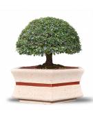 Fioriera esagonale da esterno in cemento calcestruzzo - colore Bianco pietra - cm 155x120x65h - Conforme ai CAM