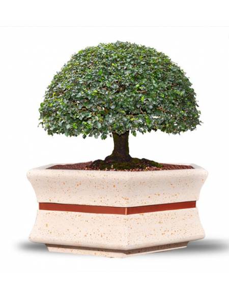 Fioriera esagonale da esterno in cemento calcestruzzo - colore Bianco pietra - cm 155x120x65h - Conforme ai CAM