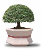 Fioriera esagonale per esterno in cemento calcestruzzo - colore Bianco pietra - cm 85x95x65h - Conforme ai CAM