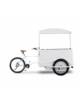 Carretto vendita gelato con bicicletta e cappottina sali-scendi con illuminazione a Led