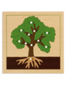 INCASTRO DELL'ALBERO