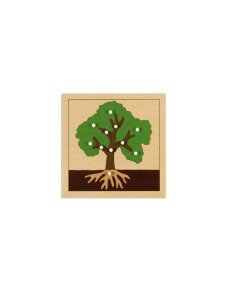 INCASTRO DELL'ALBERO