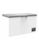 Congelatore orizzontale a pozzetto 645 litri lordi - Con coperchio basculante in acciaio inox - cm 157x77,5x95,5h