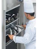 Armadio frigorifero per pesce cm 60x60x189h