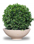 Fioriera rotonda a ciotola in cemento calcestruzzo per esterno - colore Grigio pietra - cm Ø139x52h - Conforme ai CAM