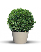 FIORIERA CIRCOLARE TONDA IN GRANIGLIA DI MARMO SABBIATO PER ESTERNO DIAMETRO CM 129 - COLORE A SCELTA - CONFORME AI CAM