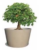 FIORIERA CIRCOLARE TONDA IN CEMENTO CALCESTRUZZO PER ESTERNO DIAMETRO CM 160 - COLORE BIANCO SABBIATO - CONFORME AI CAM