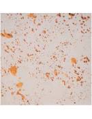 Fioriera rettangolare in cemento calcestruzzo per esterno - colore Bianco travertino - con zoccolatura - cm 100x40x50h - CAM