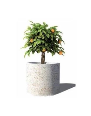 Fioriera tonda cilindrica in cemento calcestruzzo per esterno - colore Grigio travertino - senza zoccolatura - cm Ø 65x70h - CAM