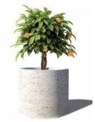 Fioriera tonda cilindrica in cemento calcestruzzo per esterno - colore Grigio sabbiato - senza zoccolatura - cm Ø 65x70h  - CAM