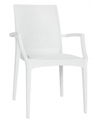 Sedia con braccioli in polipropilene Elegance colori a scelta - cm 44x41,5x88h
