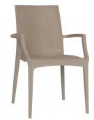 Sedia con braccioli in polipropilene Elegance colori a scelta - cm 44x41,5x88h