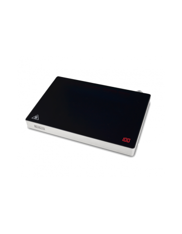 Piastra scaldavivande ad induzione in acciaio inox - piano vetroceramica con indicatore temperatura - mm 462x335x61h