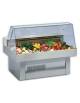 Banco/espositore per pesce vetro con vetro dritto - Temperatura -2° C +4°C - mm L1000XP1000XH1195