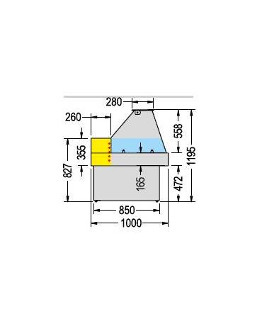 Banco/espositore per pesce vetro dritto Dim mm L1000XP1000XH1195