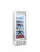 Vetrina surgelati singola congelatore negativo con refrigerazione ventilata A RISPARMIO ENERGETICO -15° -25°C - cm 66,8x69,2x199