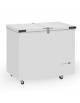Congelatore orizzontale a pozzetto -15°/-25°C - Capacità Lt 302 - apertura porte con sistema Flip-flop - cm 101x67,4x89,7h