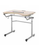 TAVOLO BANCO ANTROPOMETICO REGOLABILE IN ALTEZZA ED IN INCLINAZIONE PER IPOVEDENTI - PIANO CM 60X70 - SOTTOPIANO IN GRIGLIA