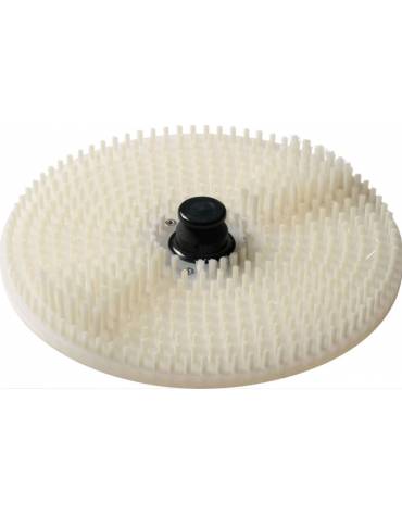 Puliscicozze - Lavacozze da kg 5 da banco - MONOFASE - Produzione oraria Kg 60 - Dimensioni cm 52x63x59h