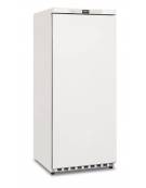 Armadio congelatore professionale statico con esterno inox e termostato digitale -18° -22°C - capacità Lt. 330 - cm 60x61x186h
