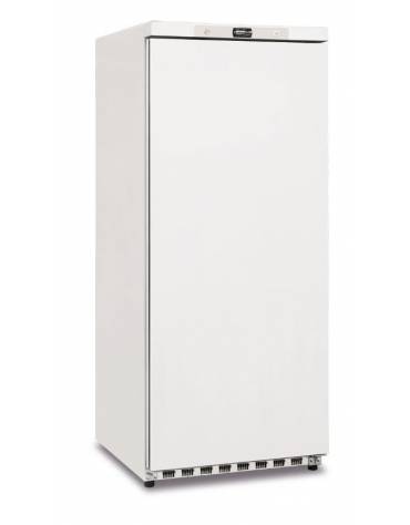 Armadio congelatore professionale statico con esterno inox e termostato digitale -18° -22°C - capacità Lt. 330 - cm 60x61x186h