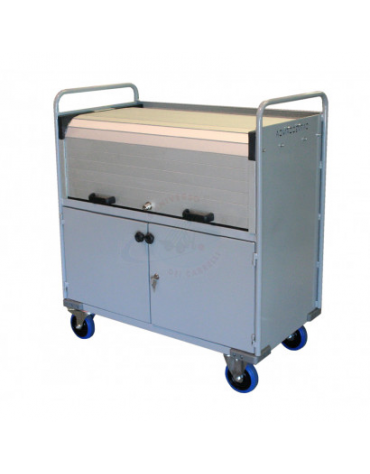 Carrello Porta Faldoni/fascicoli con Chiusura Completa, 4 Ruote diametro cm 12,5 in gomma elastica, Dim. Cm 50x90x90h.  Portata 