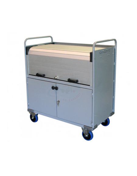 Carrello Porta Faldoni/fascicoli con Chiusura Completa, 4 Ruote diametro cm 12,5 in gomma elastica, Dim. Cm 50x90x90h.  Portata 