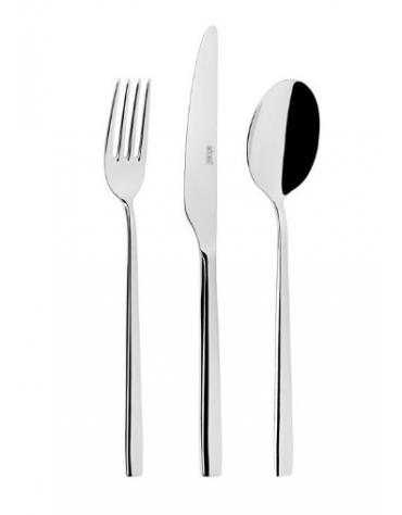 CUCCHIAIO TAVOLA IN ACCIAIO INOSSIDABILE 18/10 - SPESSORE MM 2,5 - Lunghezza mm 205