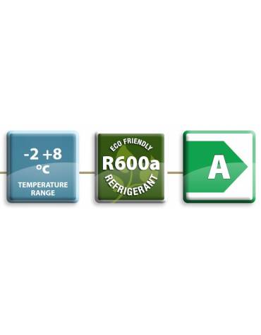 Armadio refrigerato ventilato GN2/1, in acciaio inox - Temp. -2/+8°C - Lt 560 - Classe A - cm 74x88,7x209h