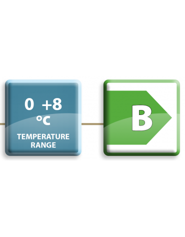 Armadio refrigerato ventilato GN2/1, in acciaio inox - Temp. 0/+8°C - Lt 650 - Classe B - cm 74x82,8x205h
