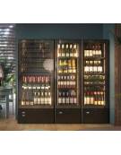 VETRINA VINI, VANO UNICO Easy Wine